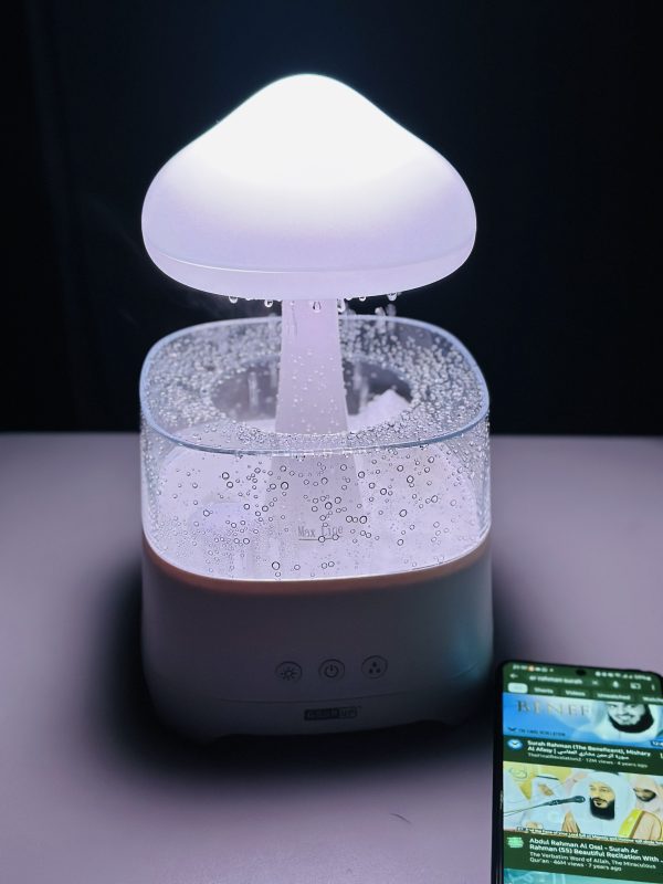 Rain Cloud Humidifier